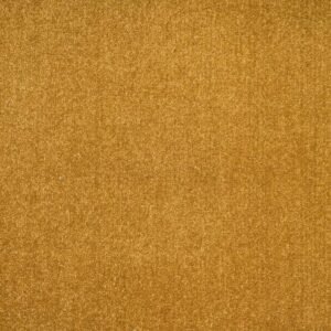 Màu vàng mù tạt